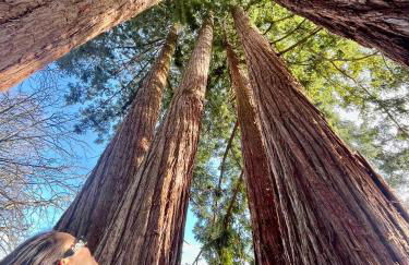 Chateau et piscine privé près du Chateau de Chambord - Photo 24