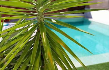 VILLA FALCONERA APARTAMENTS, GANDIA a las faldas de la montaña RELAX & PETS - Foto 57