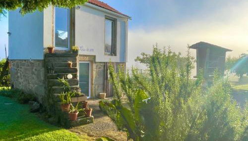 Solar Alegria - Foto 3, Garden