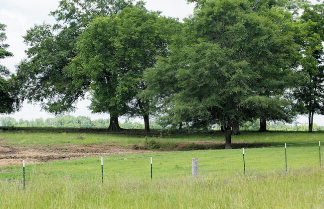 The Cabins on Rockmine - Foto 31
