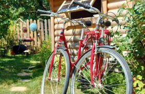 Ophrys ha Melenig - Foto 25