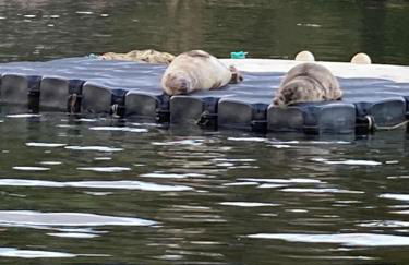 310 Norton Park - Foto 8