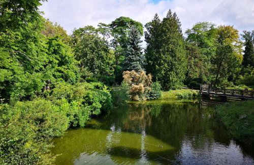 Arboretum Apartments Kórnik - Foto 48