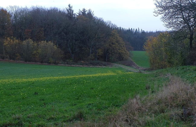 5 Person Holiday Home in Kolind - Photo 13