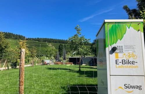 Romantikurlaub im Weindorf Kiedrich - Foto 33