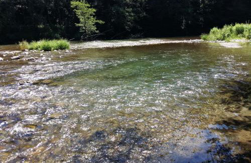 La Batllia - Foto 36