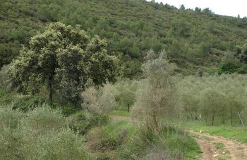 Masia Heredad La Boquilla - Foto 117