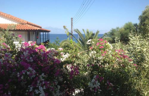 Villa Sofia - Foto 66