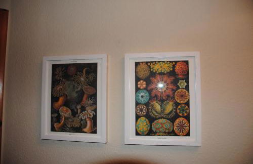 Inselresidenz Wattenmeer - Wohnung 7 - Foto 48