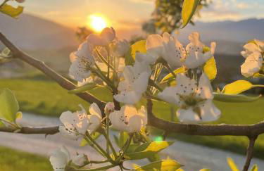 Beikircherhof - Photo 6