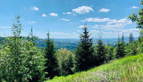 Flowmove Kamesznica - Foto 2