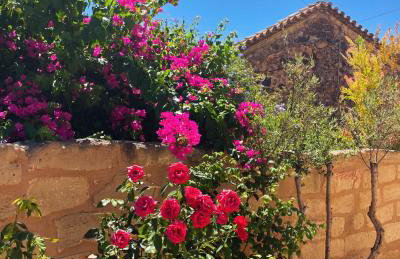 Pyrgos Fassea Kardamyli Towerhouse - Foto 36