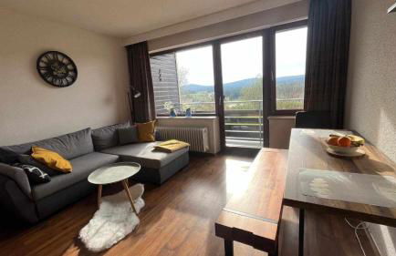 Haidműhle Šumava - Foto 1