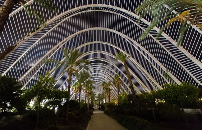 Big Terrace Apartment Cullera - Foto 43