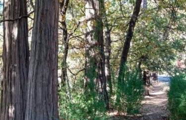 Fairway Apartments Unit 1 - Photo 7