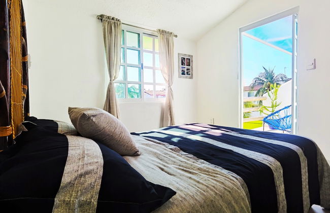 HominngBird - Foto 7