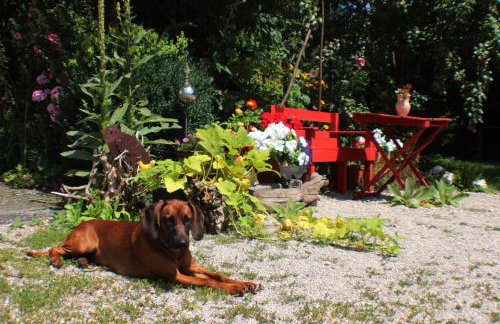 Döllelhof Erding - Foto 16