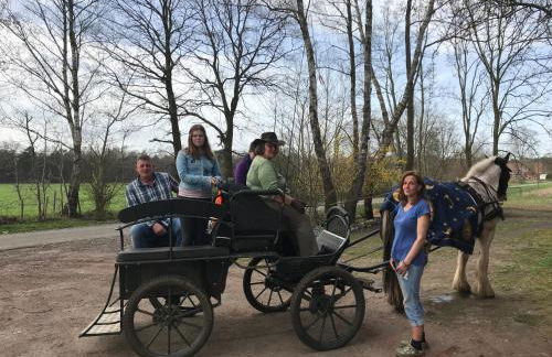 Ferienwohnung am Komisenpad - Foto 6