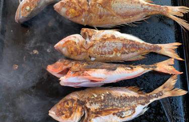 Apartments Marina - Foto 35