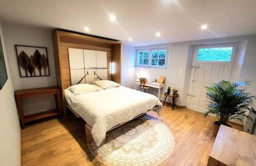 Sur le chemin du Cens - Foto 5