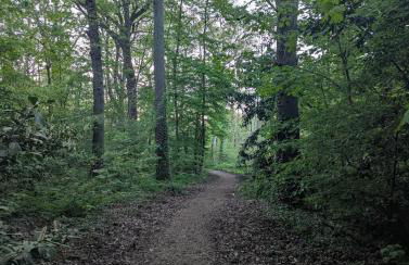 HomeBievres maison dans les bois - Photo 7