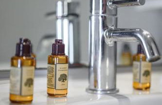 Le COQ Massolin - Parking - AC - WIFI - Foto 21