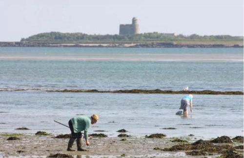 Le Perchoir Gîte de charme dans château -SPA- - Foto 47