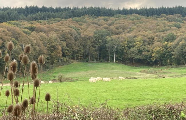 Apartment in Cuzy With Heated Pool - Photo 35