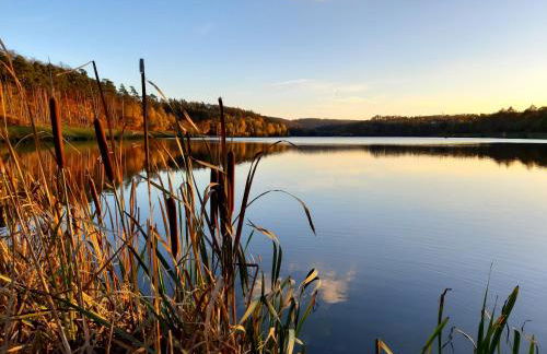 Twistesee Ferienwohnung - Foto 9