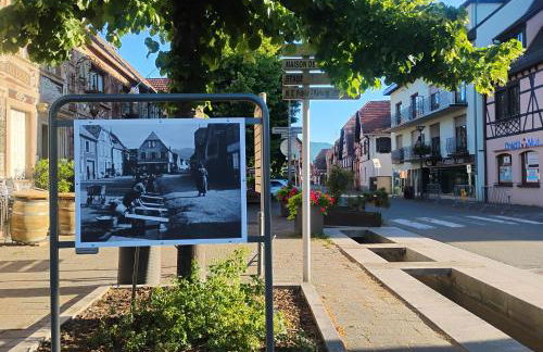 Gîte Le Marronnier, parking et terrasse au calme, entre Colmar-Riquewihr et Obernai, vue sur espaces verts et coteaux d Alsace, route du vin-châteaux - Foto 30