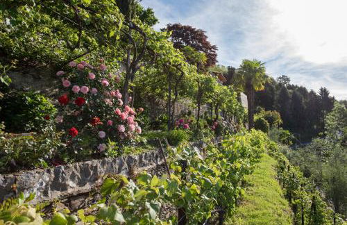 Villa Paradiso - Foto 35