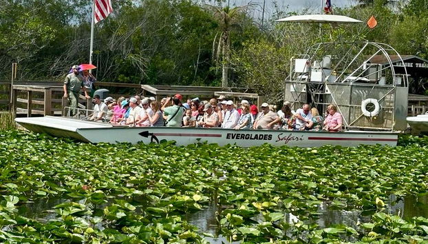 Miami Combo: City Tour + Everglades + Celebrity Homes - Foto 4