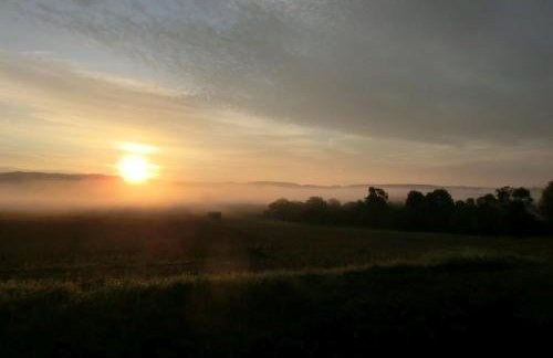 Müller's Ferienwohnungen - Foto 24