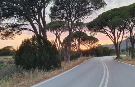 PETROS ROOMS to LET KALOGRIA BEACH - Foto 8