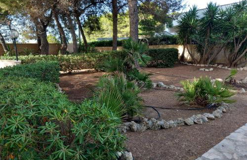 Paradiso House - Foto 39