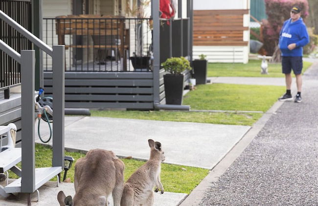 Reflections North Haven - Holiday Park - Foto 1