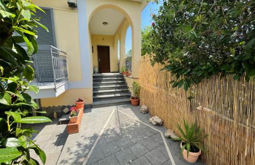 Vesuvius garden - Photo 2