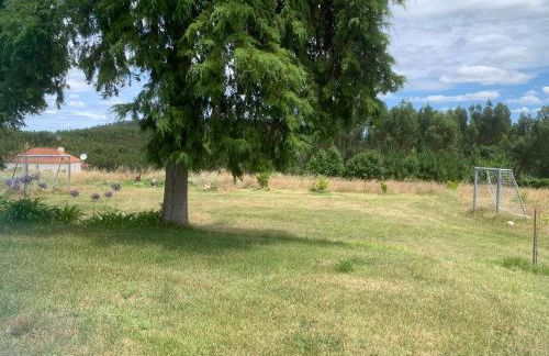 Cottage da Fonte Seca - Foto 35