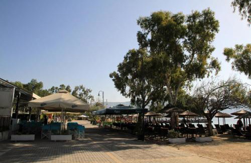 Hotel Stella - Photo 44