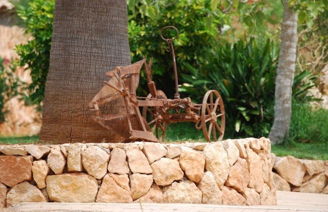 Agroturismo Finca Son Amora - Foto 25