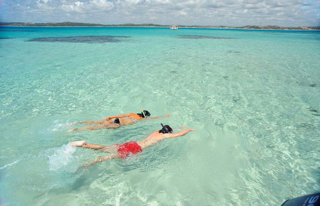 Excursión a Maragogi - Foto 2