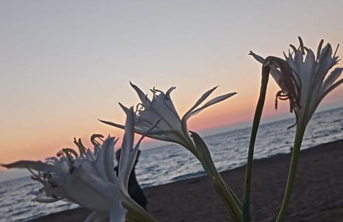 Casa Giglio Marino - Foto 21