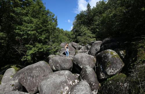 La Vallée - Photo 7