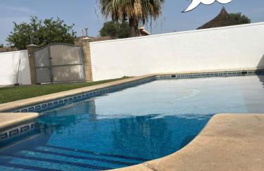 Sunset Palm - Foto 1