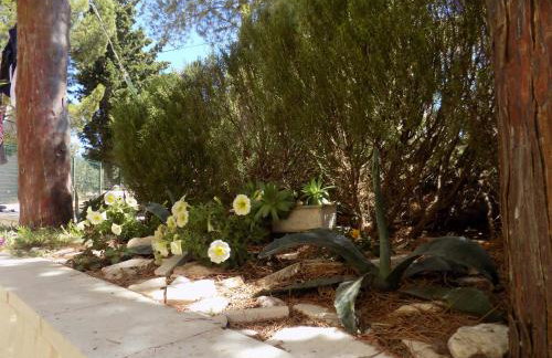 Apartments Neda - Foto 33