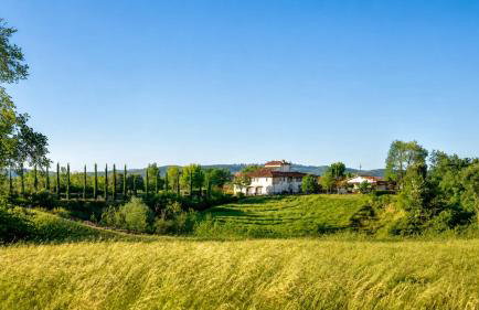 Agriturismo il Pino - Bioagricoltura - Foto 26