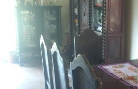 Vale das Estrelas - vale das videiras - araras - Foto 37