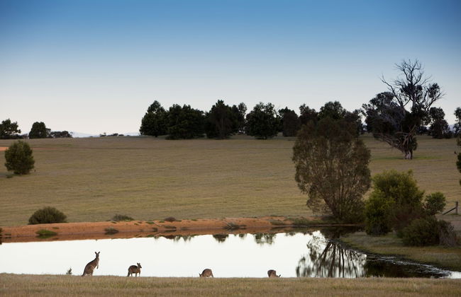 Boroka Downs - Photo 32
