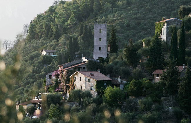 Peralta Tuscany - Foto 1