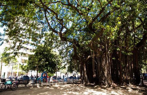 Localização Espetacular - Zona Norte - Sem Taxas - Foto 21